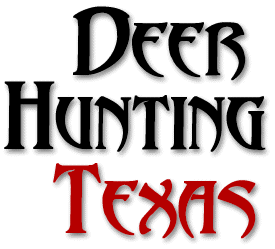 Deer Hunting Texas