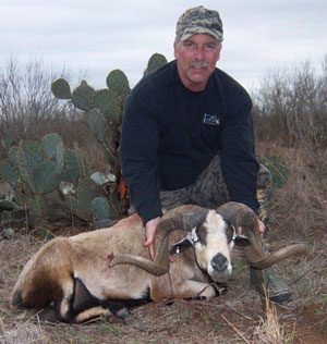 Deer Hunting Texas Exotic Hunt