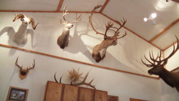 Hunton Creek Outfitters Ranch
