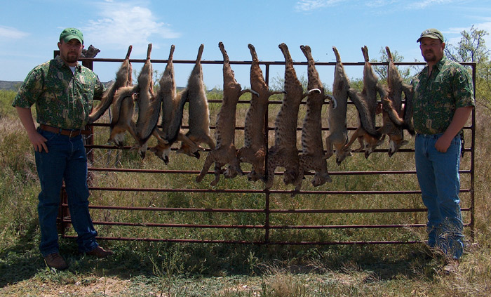 Hunting dates new mexico