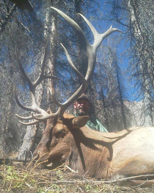 Rio Grande Elk Hunting
