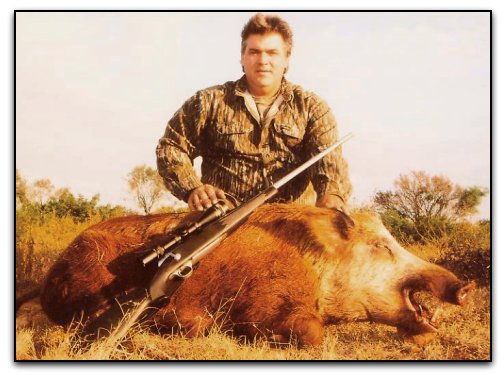 Wild Hog Hunt