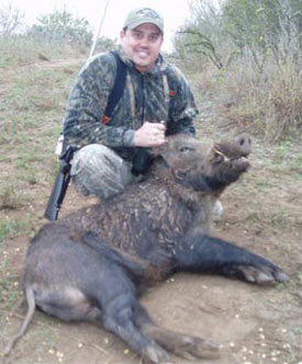 Wild Hog Hunt