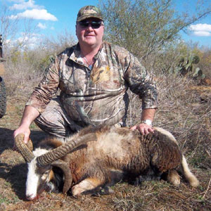 Deer Hunting Texas Exotic Hunt