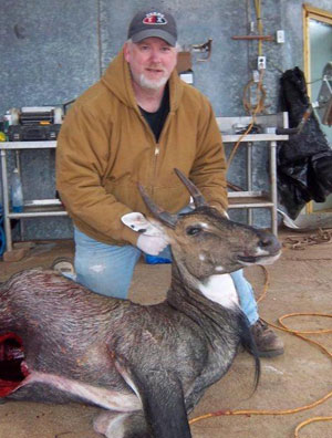 Deer Hunting Texas Exotic Hunt